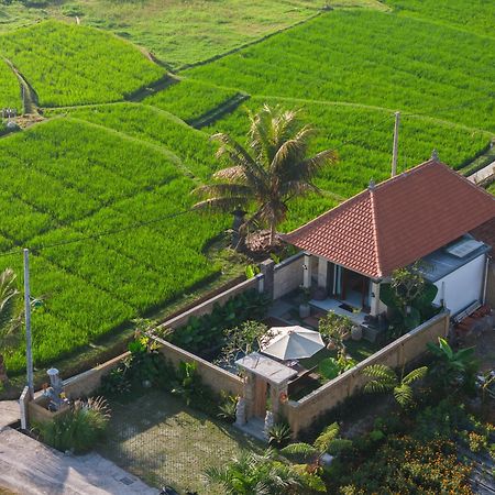 Wisana Villa Sebatu By Uniquecations Убуд Екстериор снимка