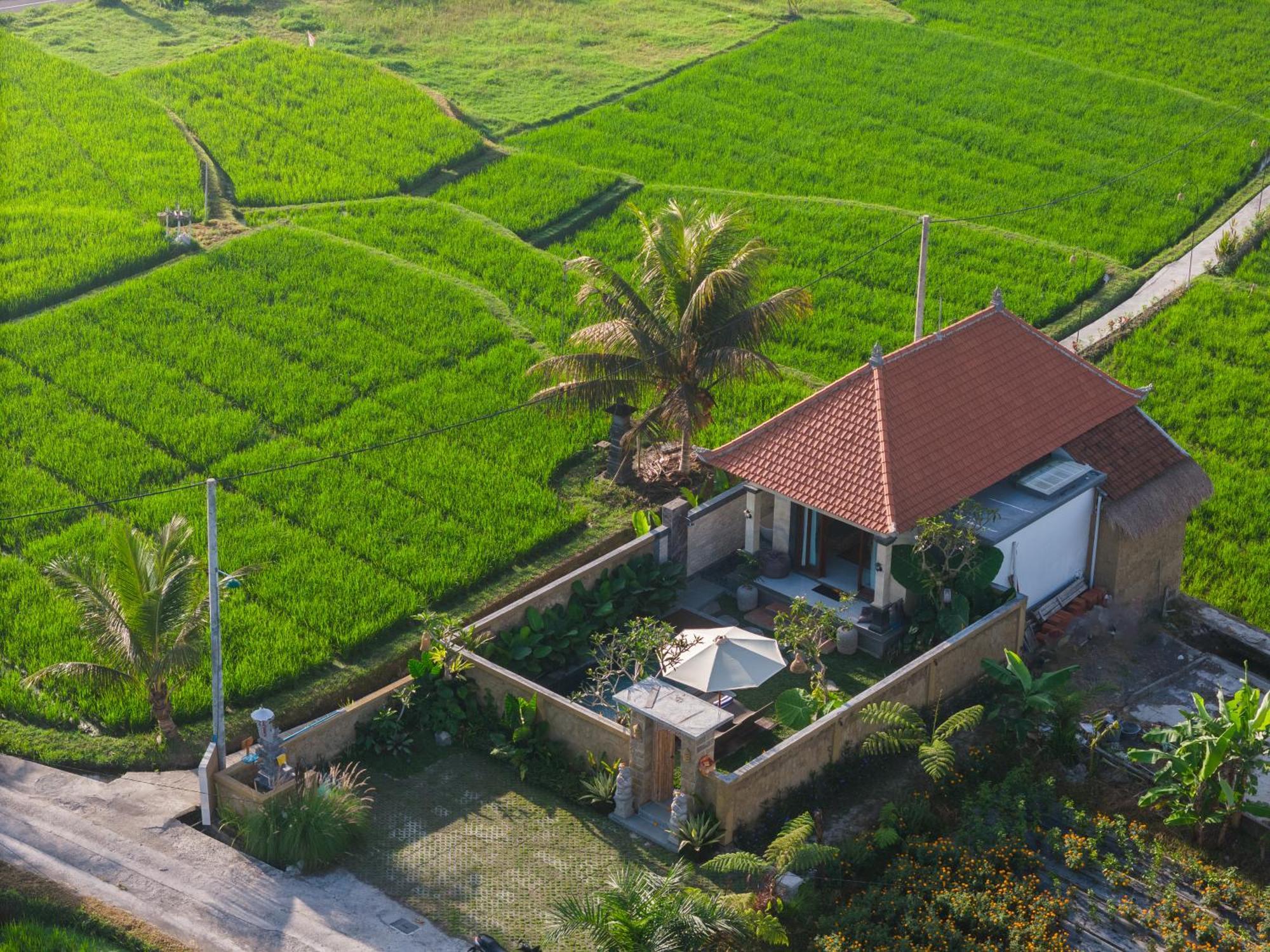 Wisana Villa Sebatu By Uniquecations Убуд Екстериор снимка