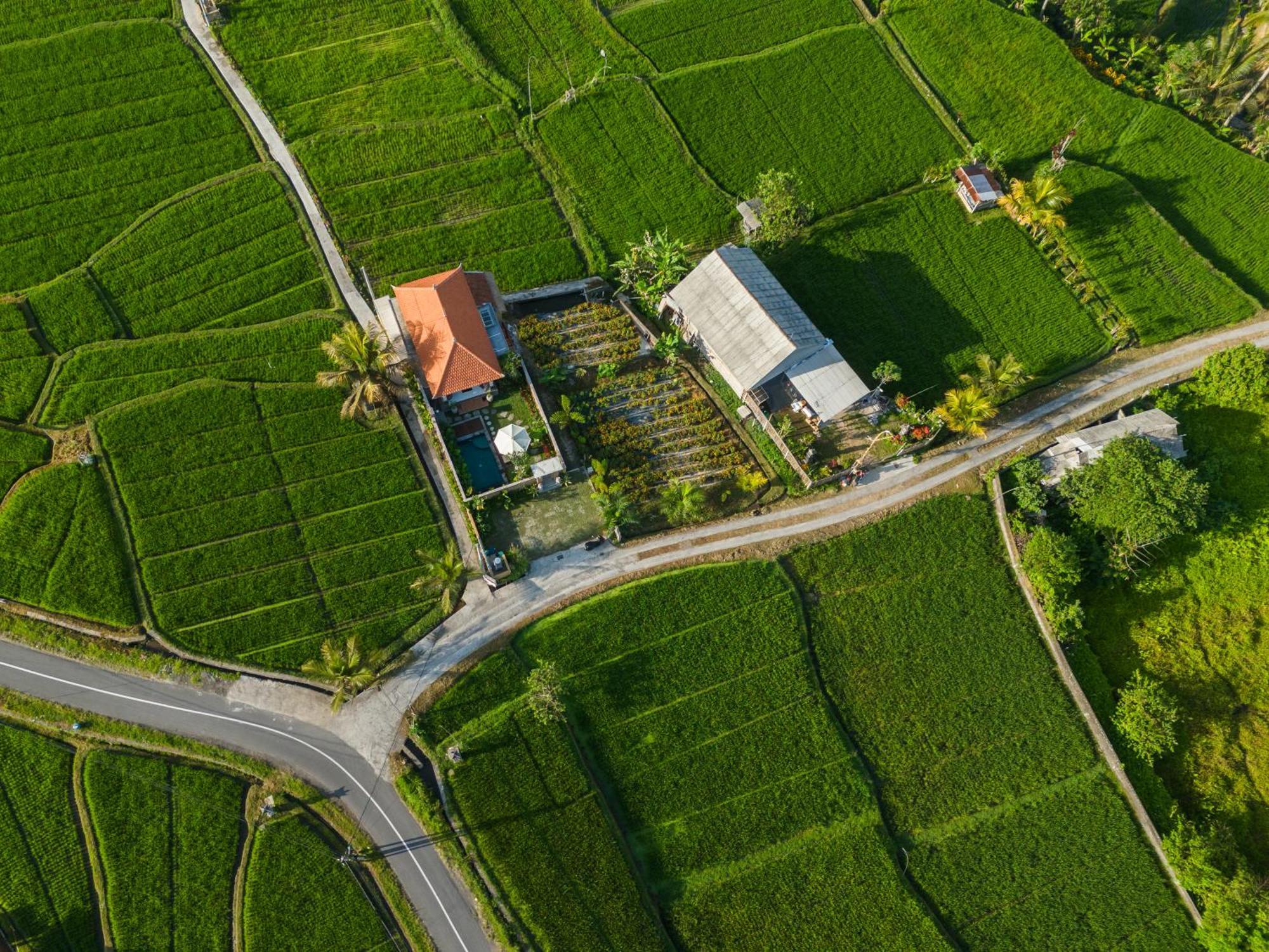 Wisana Villa Sebatu By Uniquecations Убуд Екстериор снимка